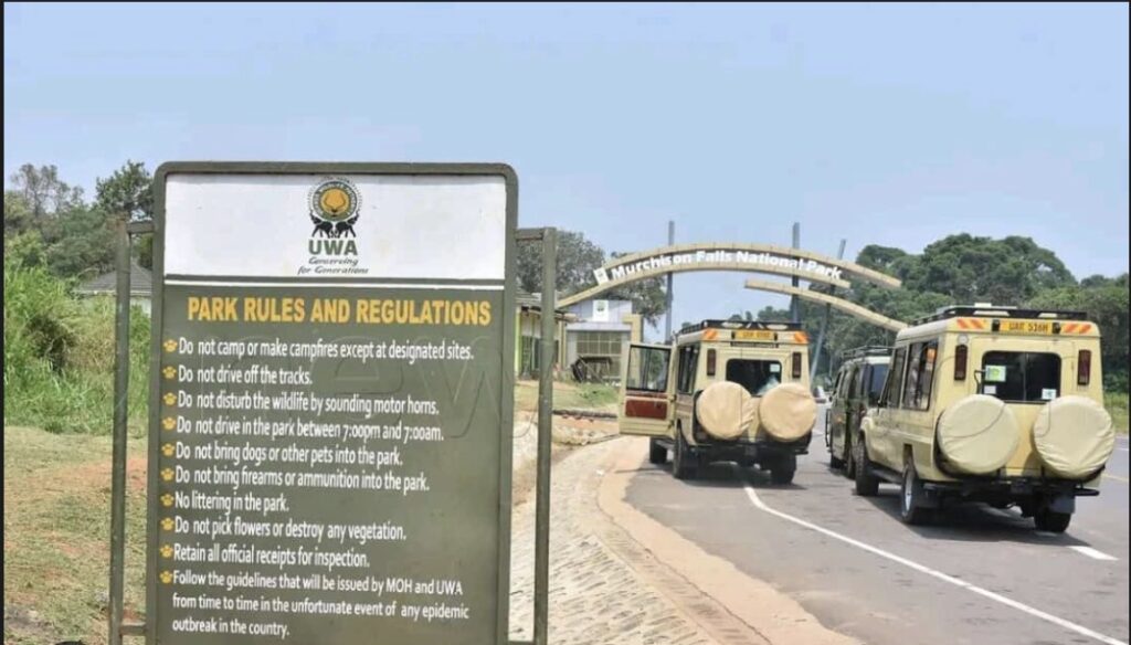 Sustainable Safari: How Your Trip Supports Conservation