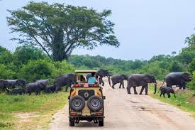 Queen Elizabeth National Park