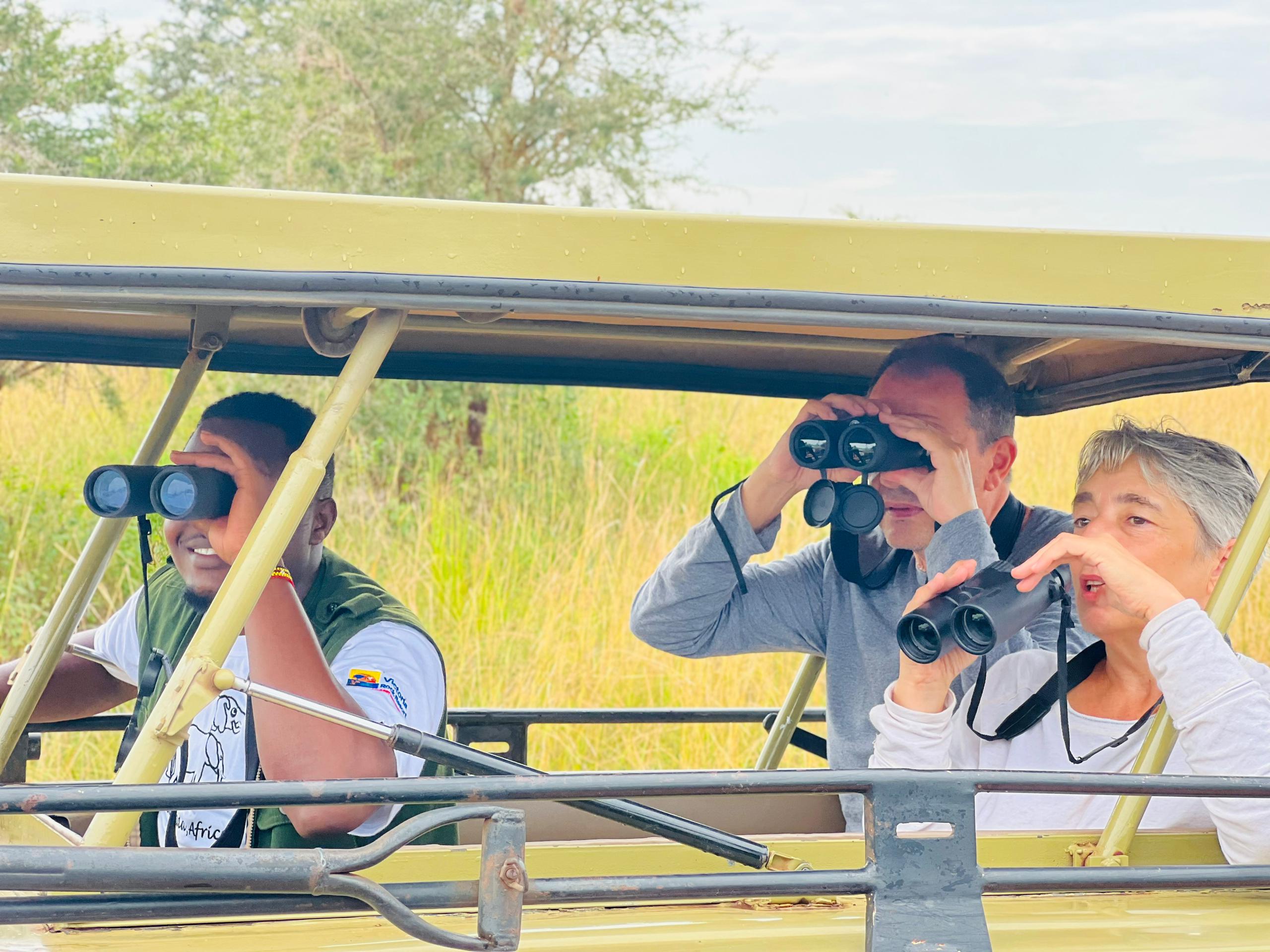 Game Drive Adventure